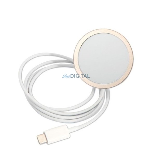 Set original GUESS GUBPP14LH4EACSB pentru iPhone 14 Pro (pachet Magsafe: carcasă + încărcător 4G / Aur - Albastru)
