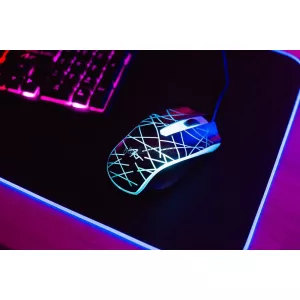 Tastatură pe USB cu lumină + mouse ușor pe USB ART AK-50