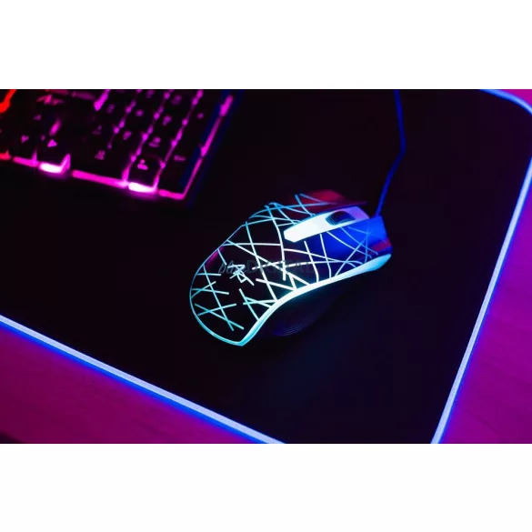 Tastatură pe USB cu lumină + mouse ușor pe USB ART AK-50