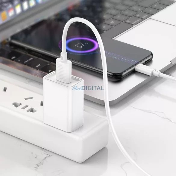 Cablu HOCO USB la Micro 2,4A Gratified X88 alb