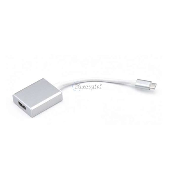 Adaptor HDMI - USB Type-C 3.1 - alb/argintiu