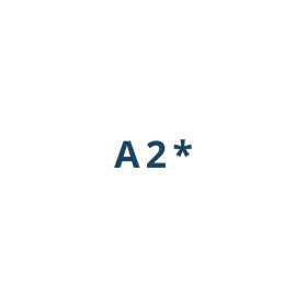 Folii Samsung Galaxy A2*