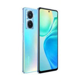 Huse vivo V29