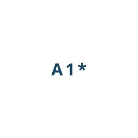 Folii Samsung Galaxy A1*