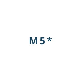 Folii Samsung Galaxy M5*