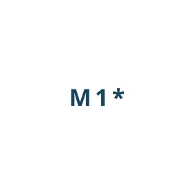 Huse Samsung Galaxy M1*