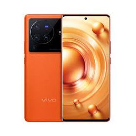 Huse vivo X80 Pro